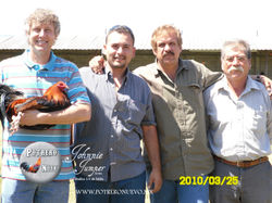 Criadero de Gallos de combate y pie de c