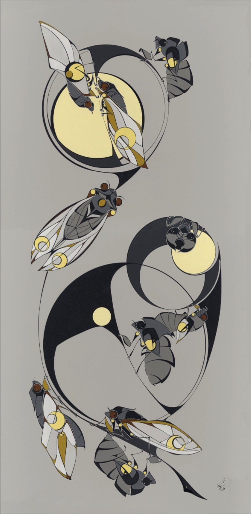 emerging periodic  cicadas