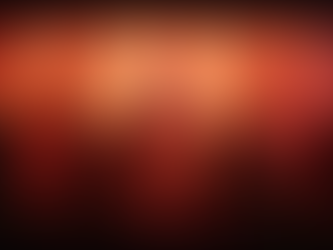 Invest in an Experience!