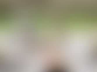 3月8・9・10日　MAGに出展します