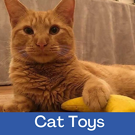 Orange tabby cat laying with a yellow catnip-filled banana toy