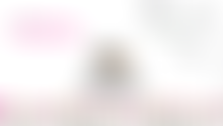 Triangle Beagle Rescue of NC