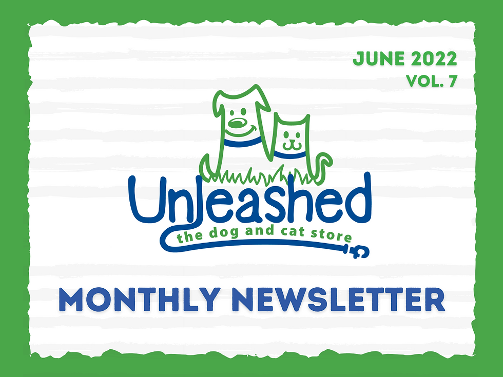 June Newsletter