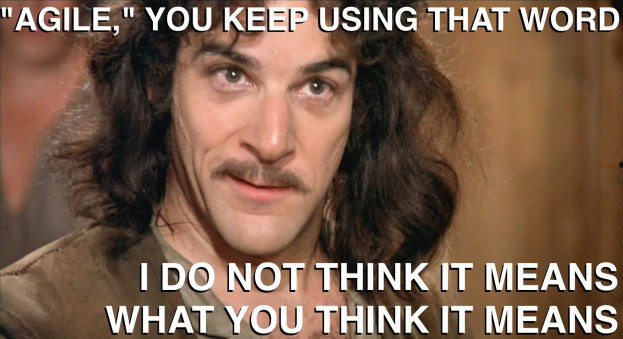 Doing Agile or Being Agile?