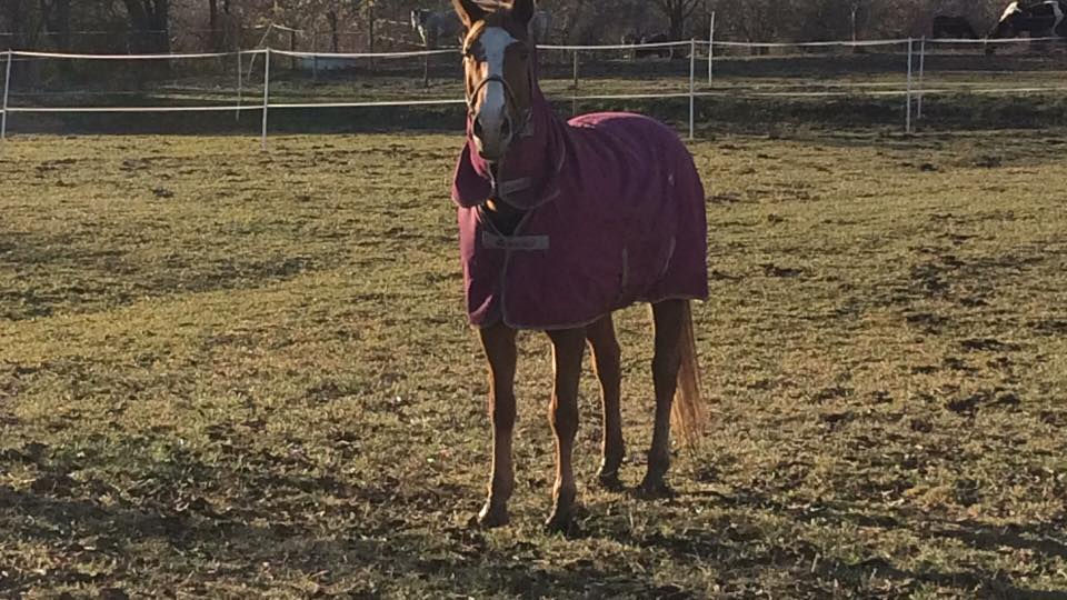 Pája - všechno je jinak.