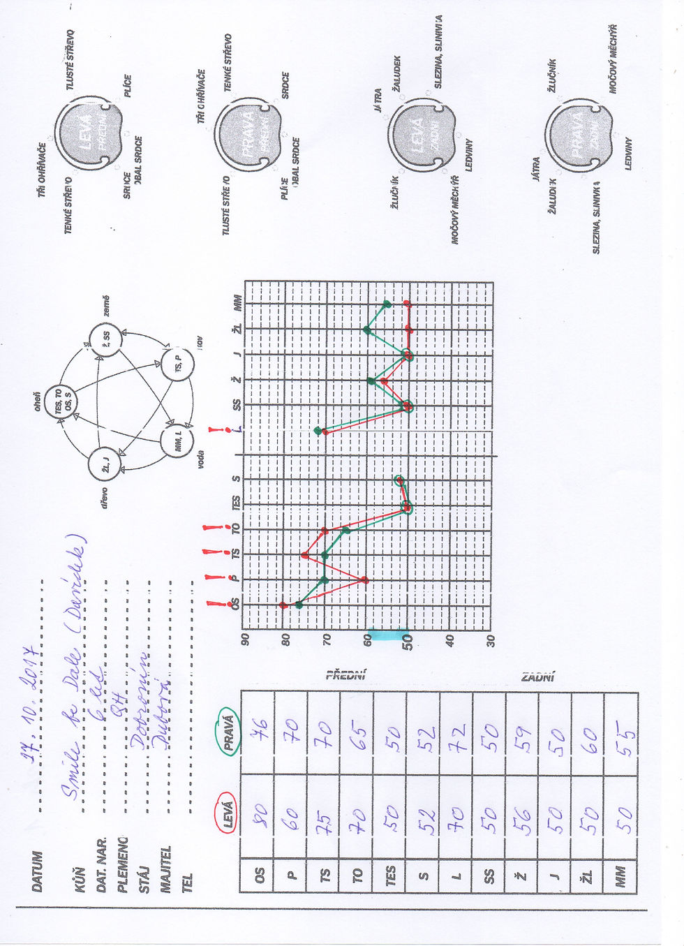 Plísně a EAD diagnostika vlivu plísní na koně a lidi a kompenzace jejich dopadu na zdraví.