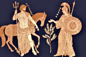 The Ancient Olive Tree