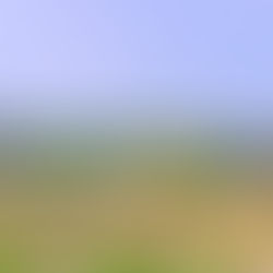 My First Trip to Italy