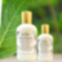 Sexy Coconut Body Lotion by Kenessential Beauty
