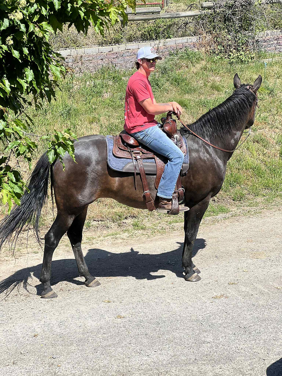 Beginning Horsemanship