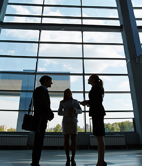 Mentranus Strategic Consultancy