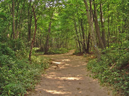 Nature Preserve
