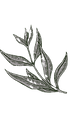 Leaves_edited_edited_edited_edited_edite
