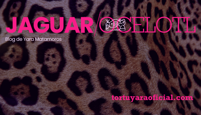 Revelando los misterios del jaguar
