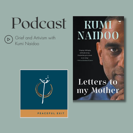 Grief and Artivism with Kumi Naidoo