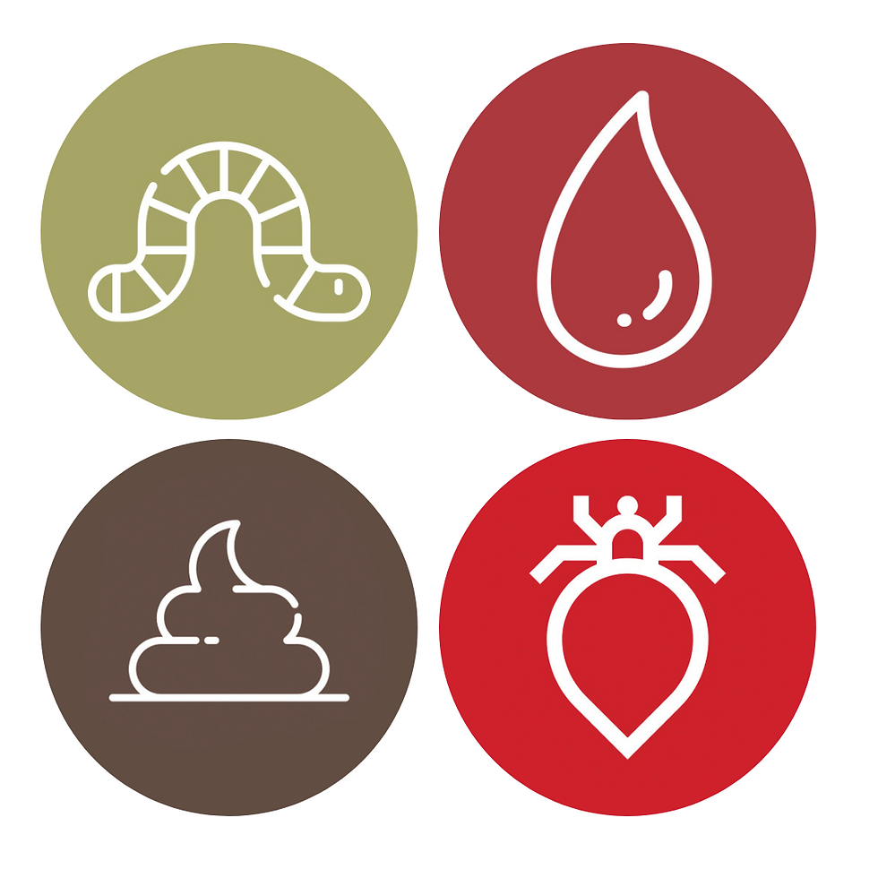 Arkusz naklejek | Weterynarz stan zdrowia