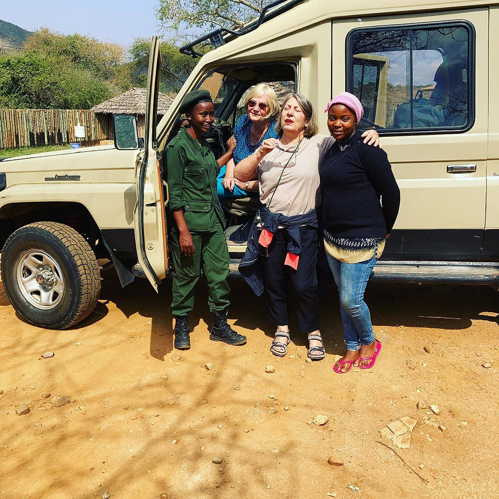 Safari Team