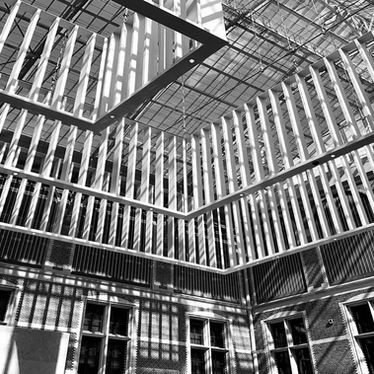 Bivolaru and Moldovan v. France: The first violation of ECHR as a result of the execution of an EAW