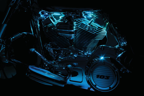 Super Lizard® Lights | VicBaggers