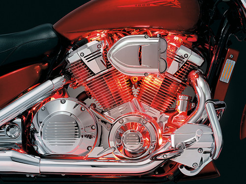 Super Lizard® Lights | VicBaggers