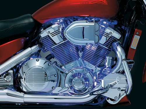 Super Lizard® Lights | VicBaggers