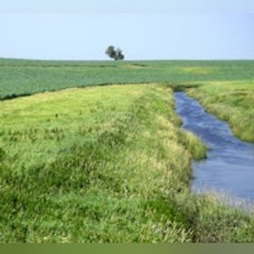 ditch buffer