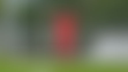 Woods subject of interest from Scotland.  