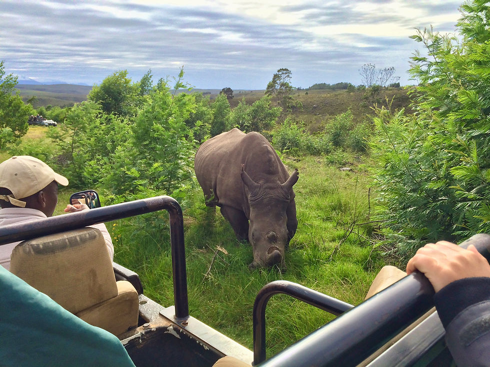 IMG_6463 Kopie 1.jpeg