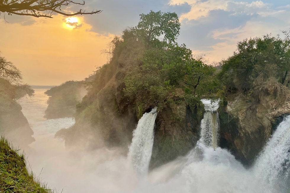 Dichter Regenwald, große Seen und einzigartige Begegnungen mit Berggorillas.