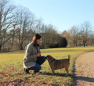 Hundetrainerin bei der Belohnung des Hundes