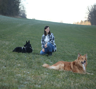Hundetrainerin mit zwei entspannten Hunden