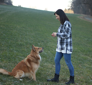 Hundetrainerin bei einer Übung mit einem Hund