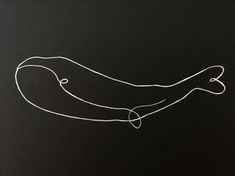whale whale whale, what do we have here?
