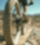 AdobeStock_1268872238_edited_edited_edited.jpg