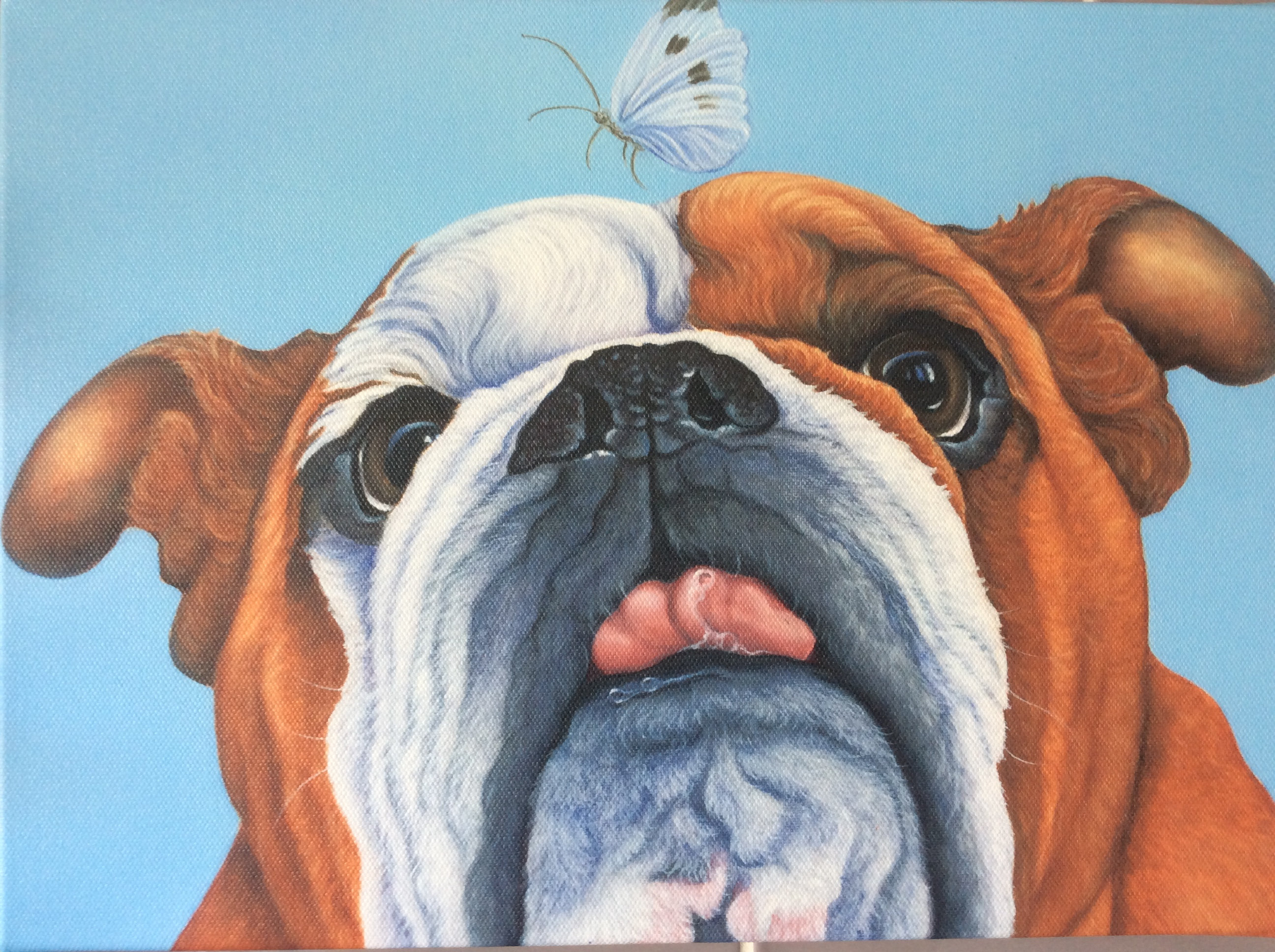 british bulldog painting