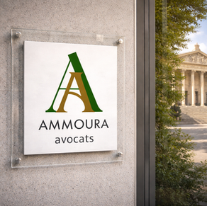Maître Pascal AMMOURA / AMMOURA AVOCATS/ Droit Pénal Civil Administratif REIMS 