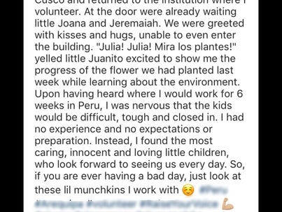 Oda al voluntario