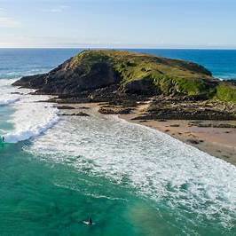 Crescent head and delicate nobby