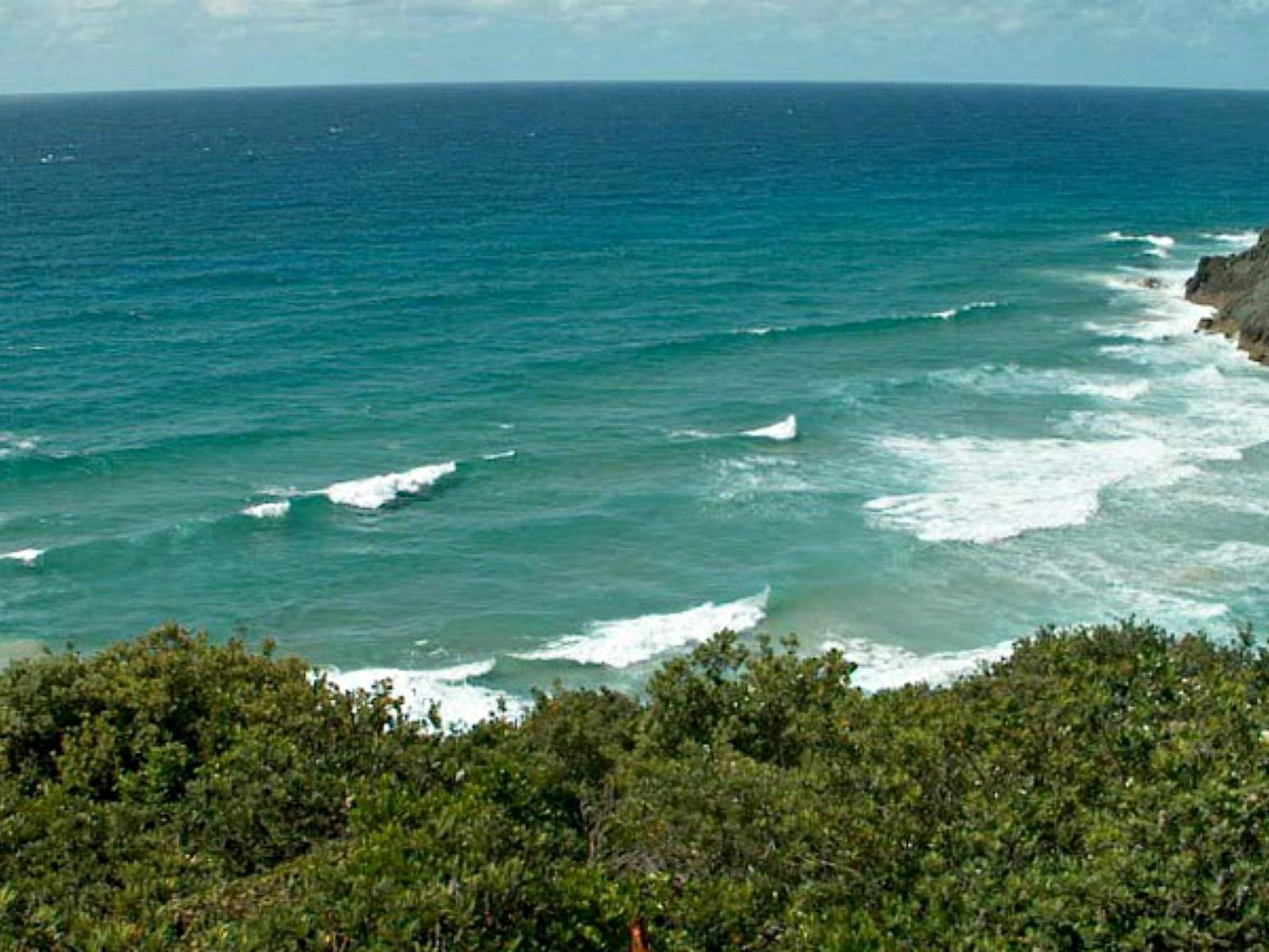 ocean and beach view