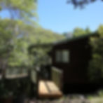 Eye-level view of a modern holiday home surrounded by native trees