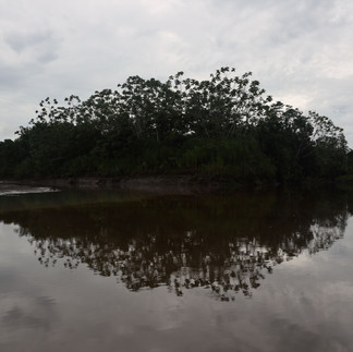 reflections napo river
