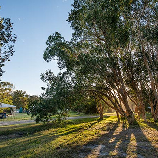 Goolawah National Park