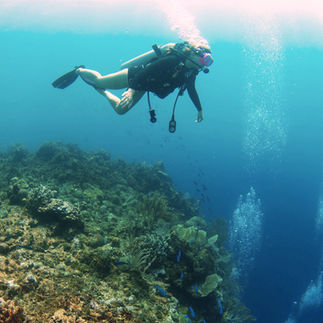 female scuba diver