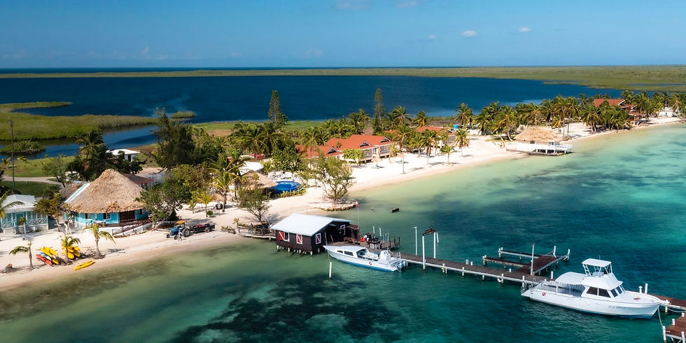 Blackbird Caye Resort - Turneffe Atoll