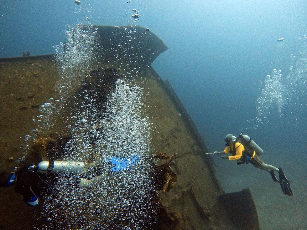El Aguila: A 230-foot cargo ship that was sunk in 1997. Hurricane Mitch broke it into several pieces in 1998, and it now lies on a sand patch in about 110 feet of water.