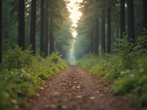 Personal Growth: Reflections on Life's Gentle Journey