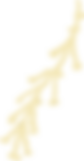 5thpage_0005_Layer-9.png