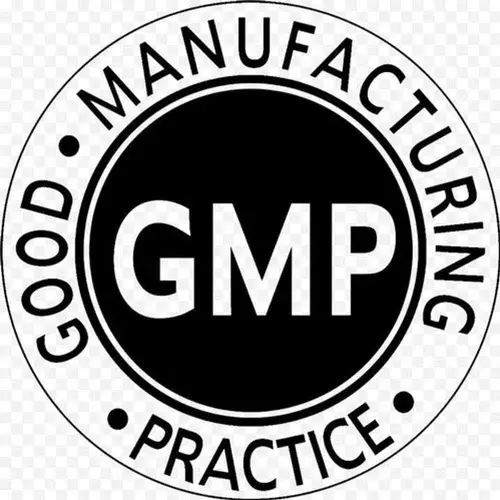 gmp.webp