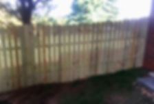 IMG_3280.jpeg