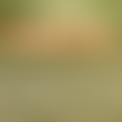 Audiências(17, 18 e 19/12/2021): Fenômeno, Globo Rural supera as grades da Record e do SBT